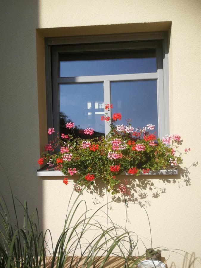 Appartementhaus Nienburg Exteriör bild